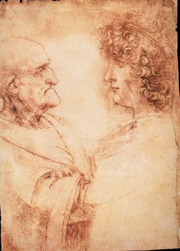 LEONARDO da Vinci Profiles of a young and an old man Spain oil painting art